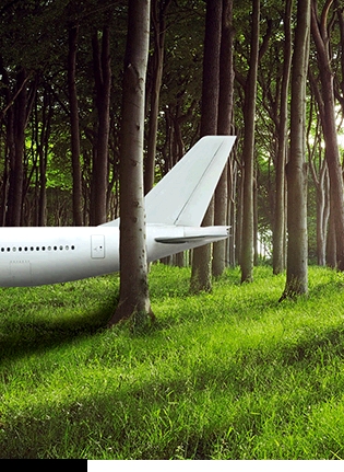 AirportGardens