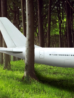 AirportGardens