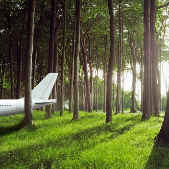 AirportGardens